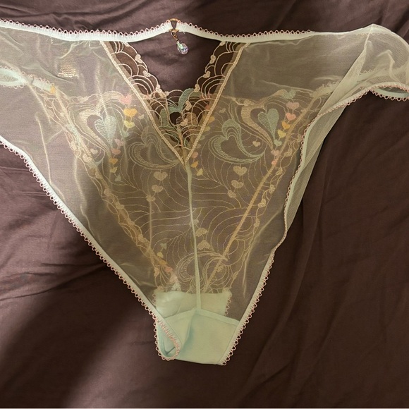New no tag. Honey Birdette Candy Aquamarine Brief Panty Size XXL - Picture 5 of 8